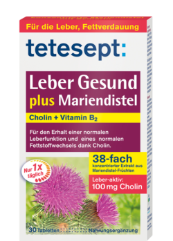 Leber Gesund