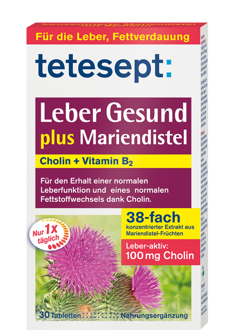 Leber Gesund